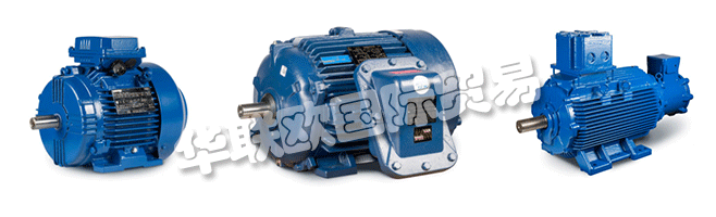 Regal的商業組織與CEMP?Srl一起，通過遍布許多國家的代理商，