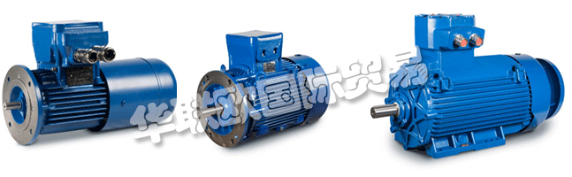 Regal成立于1954年，擁有CEMP?Srl，是意大利首批生產防爆防爆電機的公司之一。