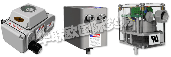 因此被視為AUTOFLAME公司和質(zhì)量管理體系的主要目標(biāo)。