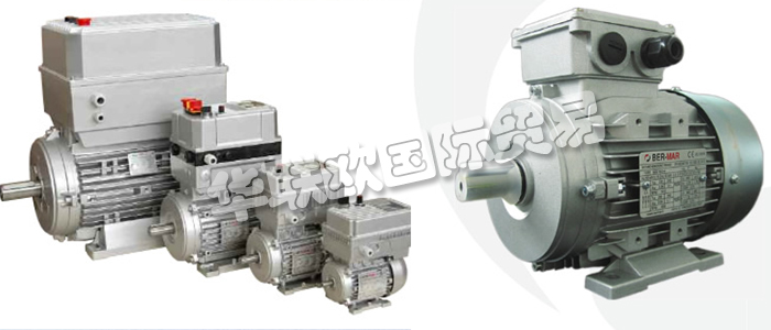 意大利BERMAR公司的主要產品包括：意大利BERMAR電機、BERMAR電動機、異步電機、異步電動機、永磁發動機、逆變器、伺服通風電動機、伺服電動機、工業洗衣機電動機、單相電動機、DRIVEJET鼓風機、高效電機、泵、風扇、工業壓縮機。
