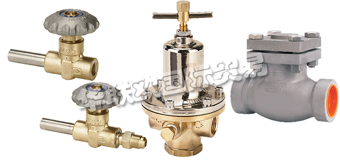 美國REGO公司主要供應：美國REGO閥門,REGO截止閥，低溫閥，止回閥，安全閥，閘閥，分流閥，減壓閥，調壓器等產品。