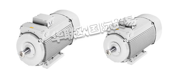 VEM電機,VEM滑環式電機,德國電機,德國滑環式電機,德國VEM