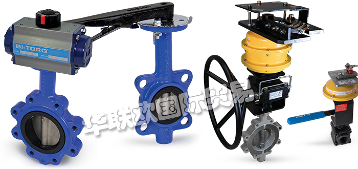 BITORQ品牌介紹(美國BITORQ蝶閥氣動執行器)